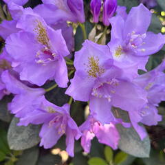 23-06-03 17-09-48 5817